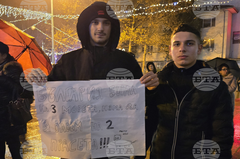 Видин - протест срещу правителството