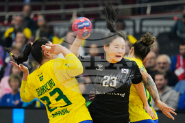 Germany World Handball