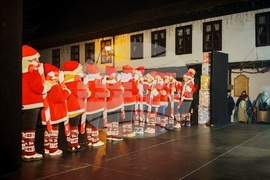 Трявна - елха - светлини