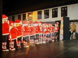 Трявна - елха - светлини