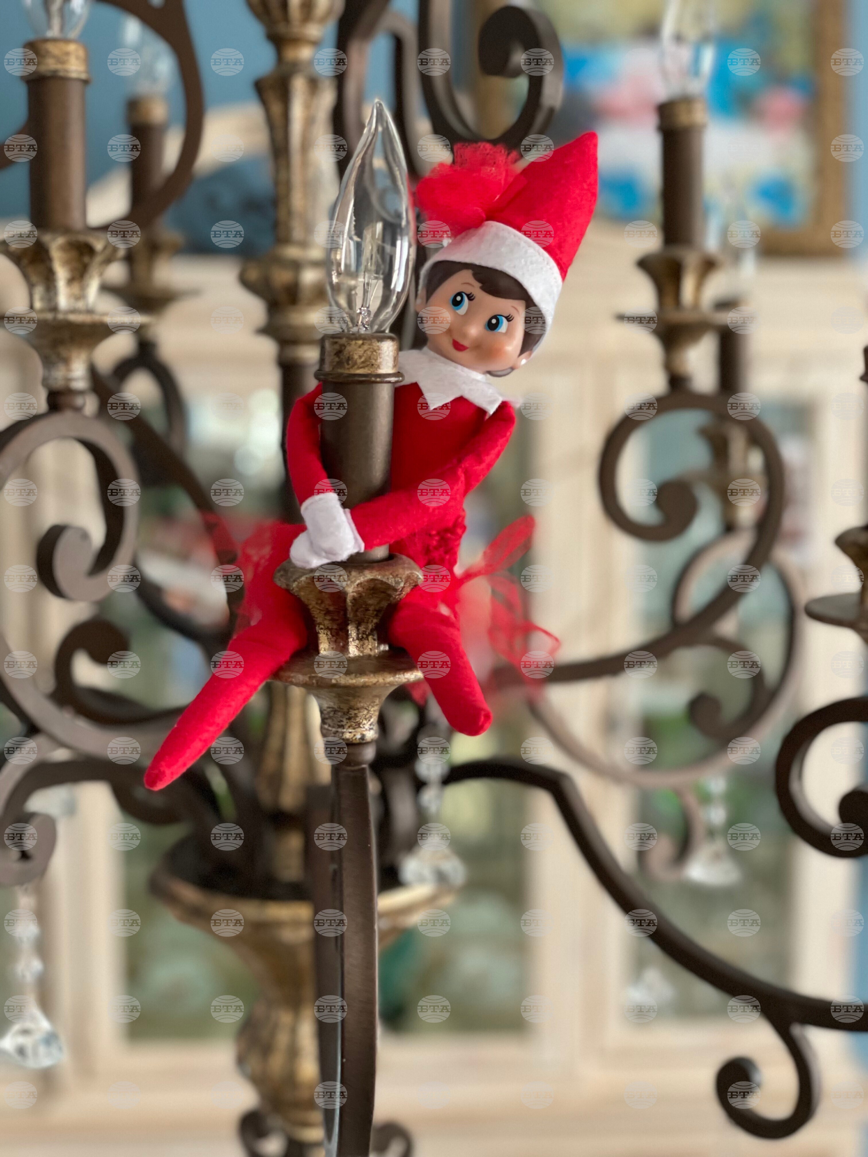 Elf on the Shelf-Anniversary
