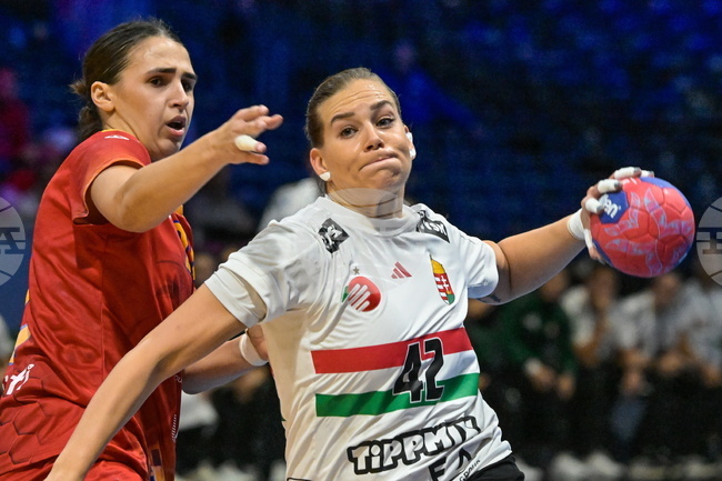 Netherlands World Handball