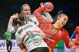 Netherlands World Handball