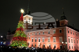 Poland Christmas Tree