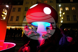 Poland Christmas Tree