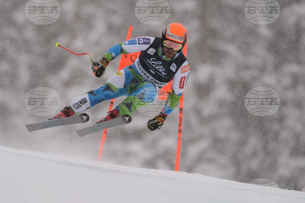 United States World Cup Downhill Skiing
