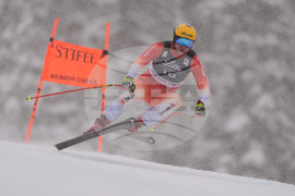 United States World Cup Downhill Skiing