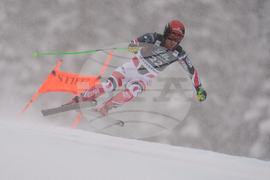 United States World Cup Downhill Skiing