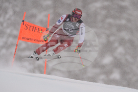 United States World Cup Downhill Skiing