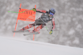 United States World Cup Downhill Skiing