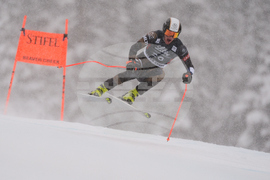 United States World Cup Downhill Skiing
