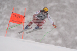 United States World Cup Downhill Skiing