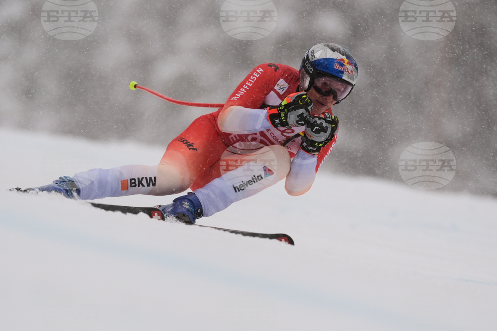 United States World Cup Downhill Skiing