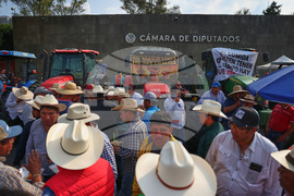 Mexico Farmers Protest