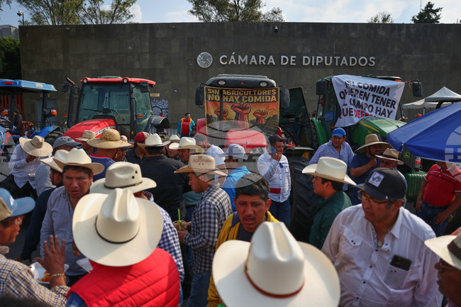 Mexico Farmers Protest