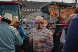 Mexico Farmers Protest