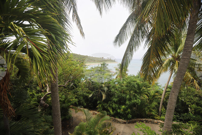 Epstein Island Photos