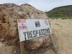 Epstein Island Photos