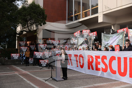 Chicken Theft Sentence