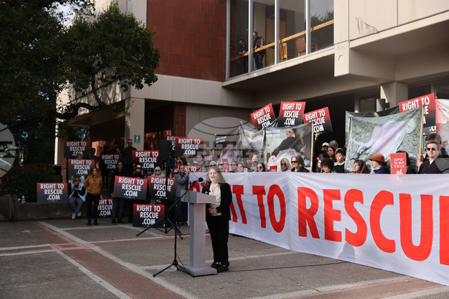 Chicken Theft Sentence