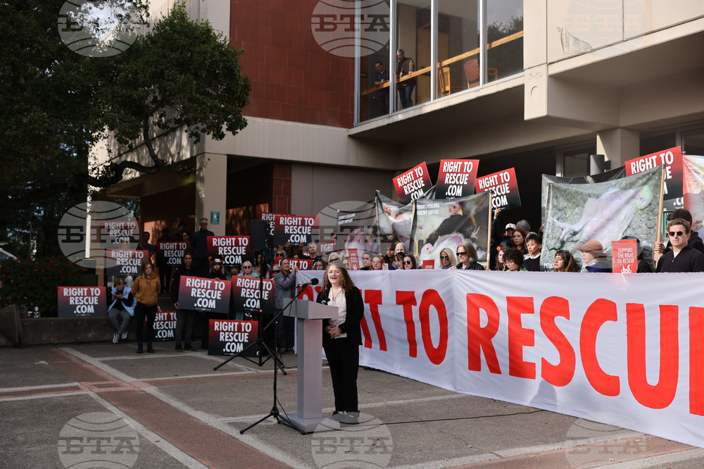 Chicken Theft Sentence