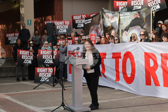 Chicken Thefts Sentence