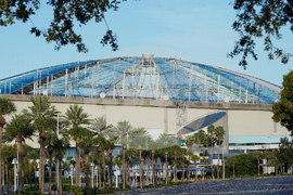Rays Tropicana Field Baseball