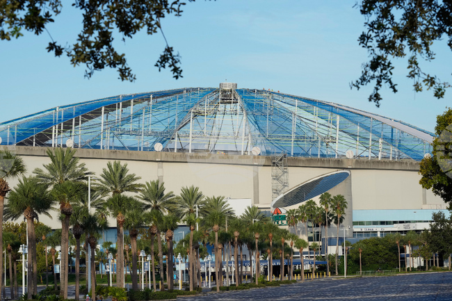 Rays Tropicana Field Baseball