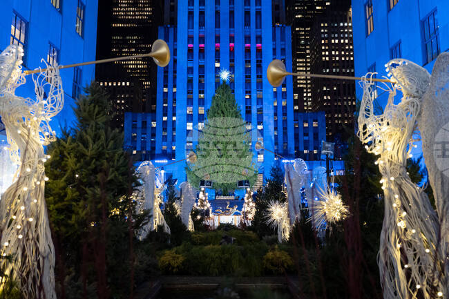 Rockefeller Center Christmas Tree