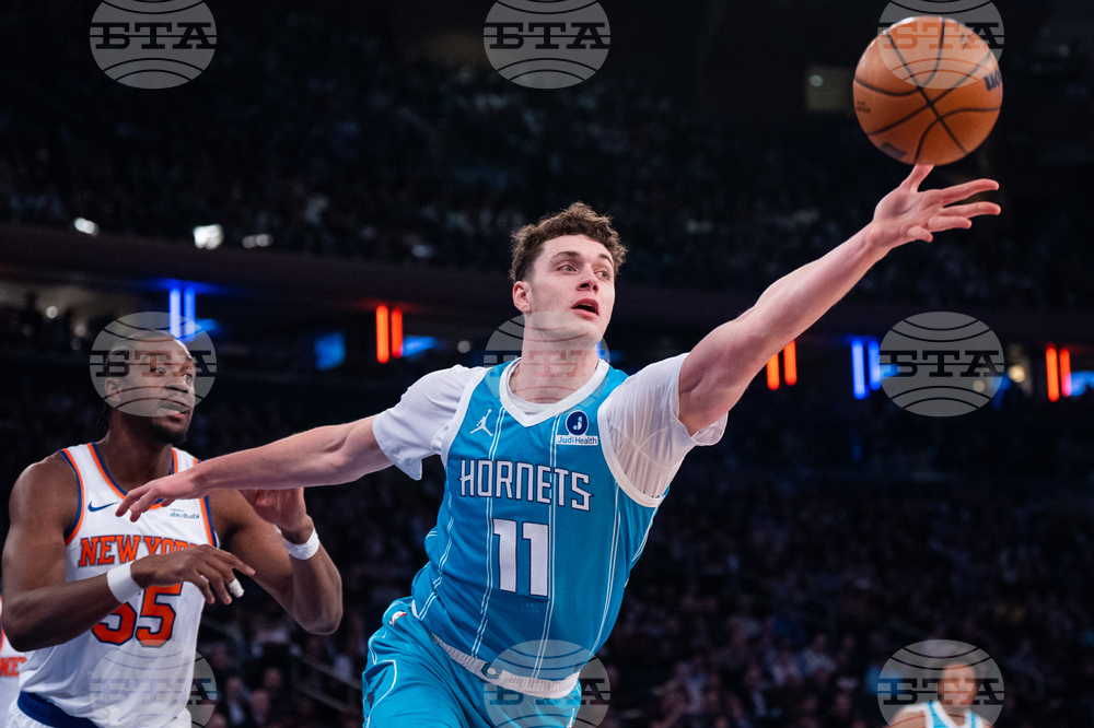 Hornets Knicks Basketball