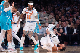 Hornets Knicks Basketball