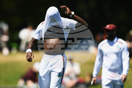 New Zealand West Indies Cricket