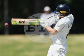 New Zealand West Indies Cricket