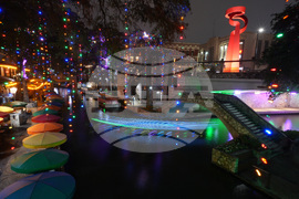 Texas Daily Life Holiday Lights