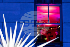 Rockefeller Center Christmas Tree