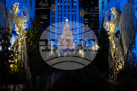 Rockefeller Center Christmas Tree