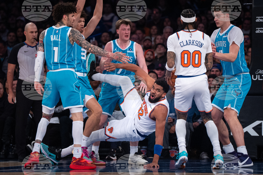 Hornets Knicks Basketball