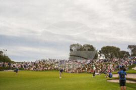 Australia Open Golf