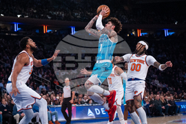 Hornets Knicks Basketball