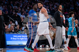 Hornets Knicks Basketball