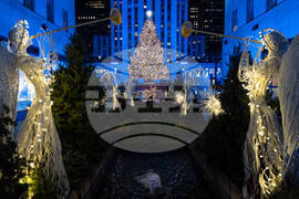 Rockefeller Center Christmas Tree