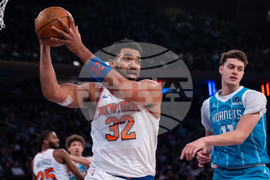 Hornets Knicks Basketball