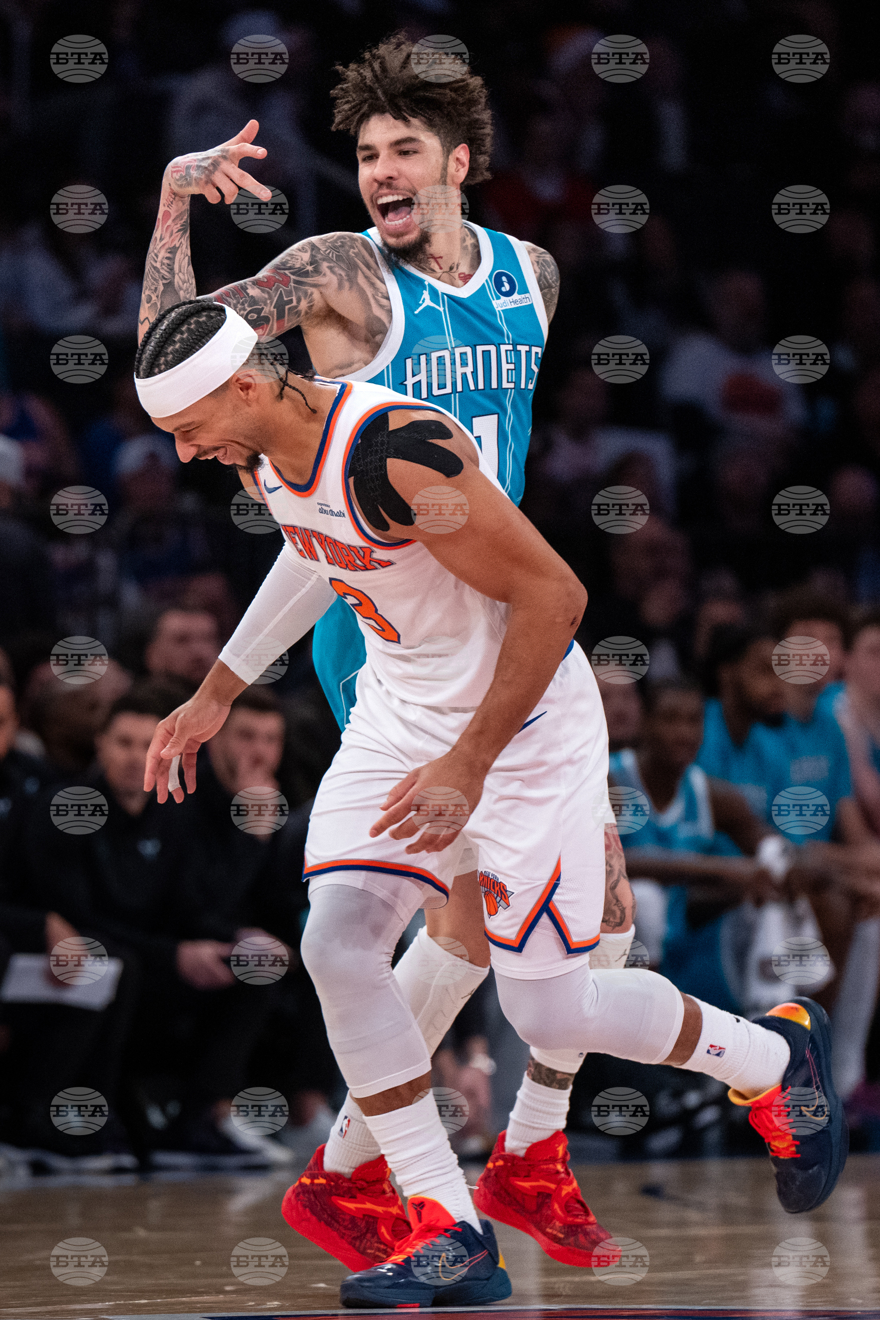 Hornets Knicks Basketball