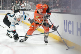 Mammoth Ducks Hockey