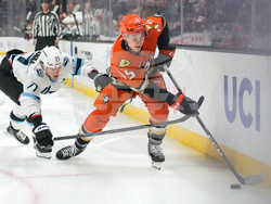 Mammoth Ducks Hockey