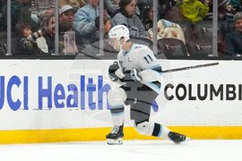 Mammoth Ducks Hockey