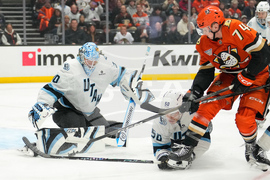 Mammoth Ducks Hockey