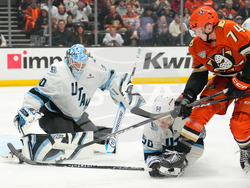 Mammoth Ducks Hockey