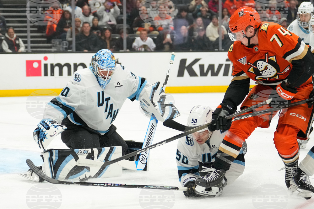 Mammoth Ducks Hockey