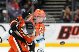 Mammoth Ducks Hockey